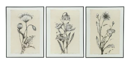 Black and Beige (Set of 3)