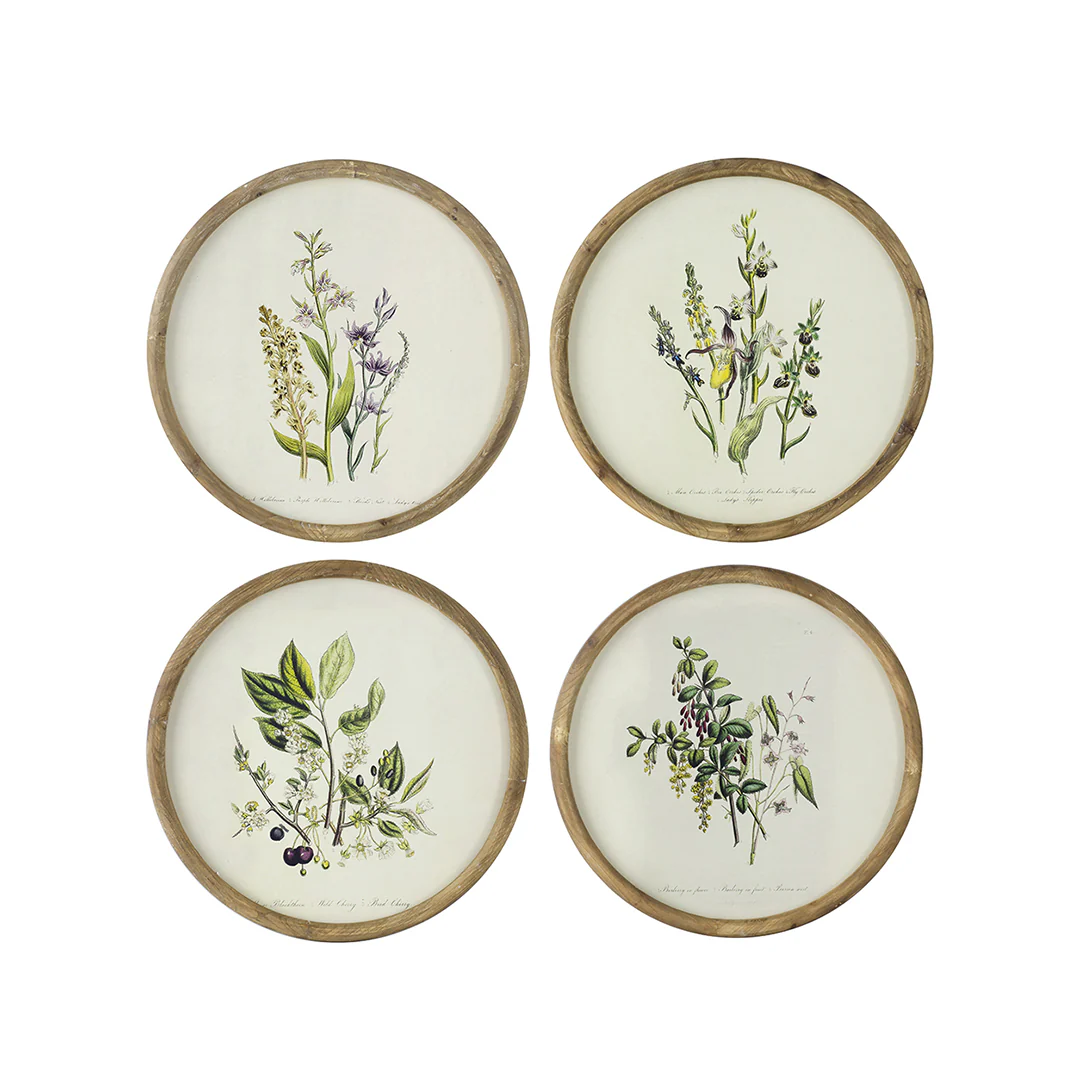 Flora Round Prints (Set of 4)