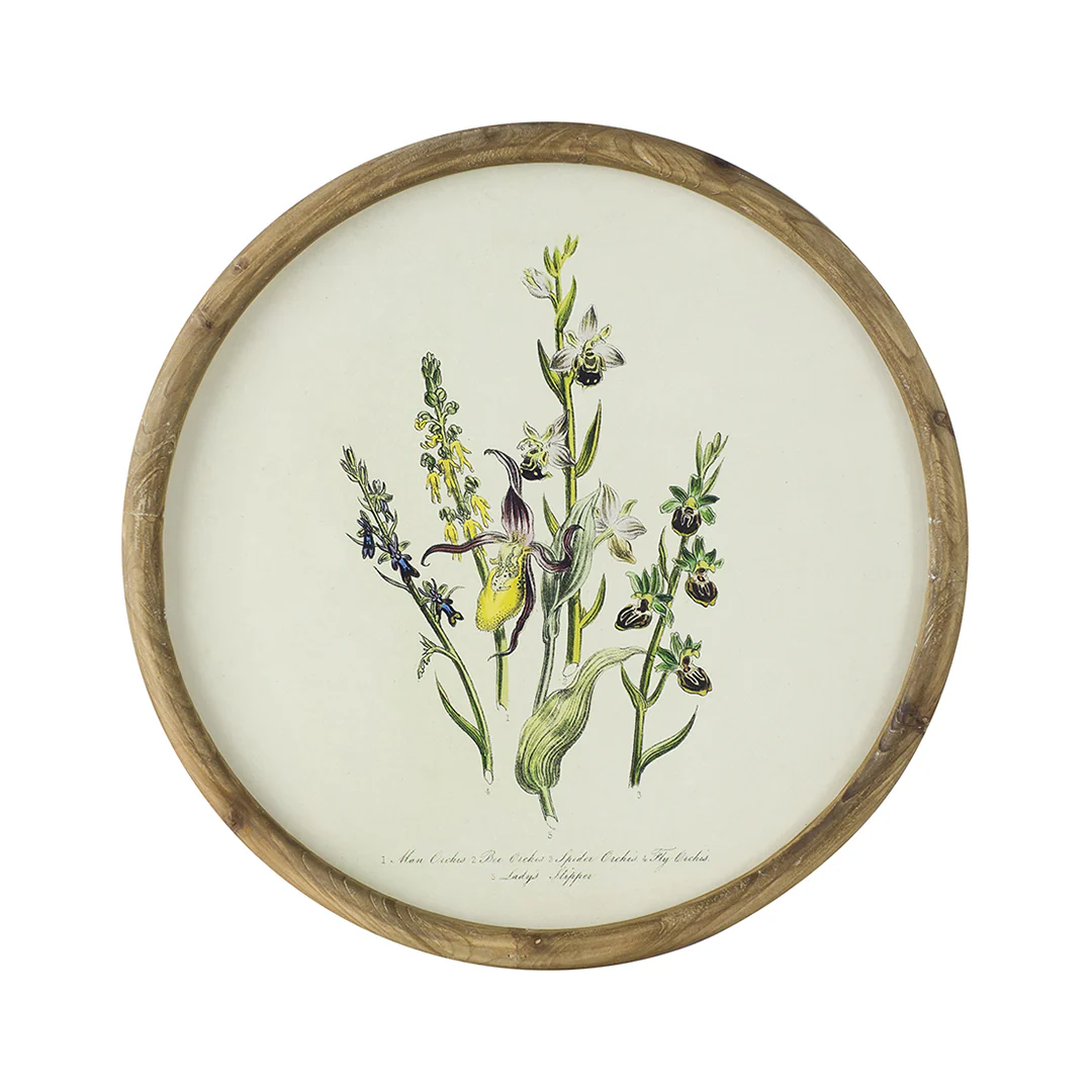 Flora Round Prints (Set of 4) - Image 4