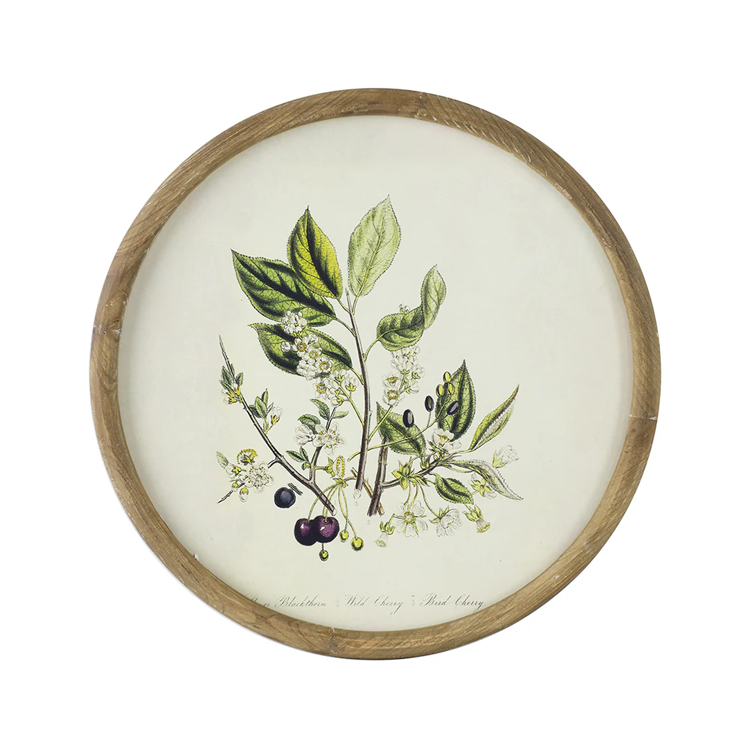 Flora Round Prints (Set of 4) - Image 5