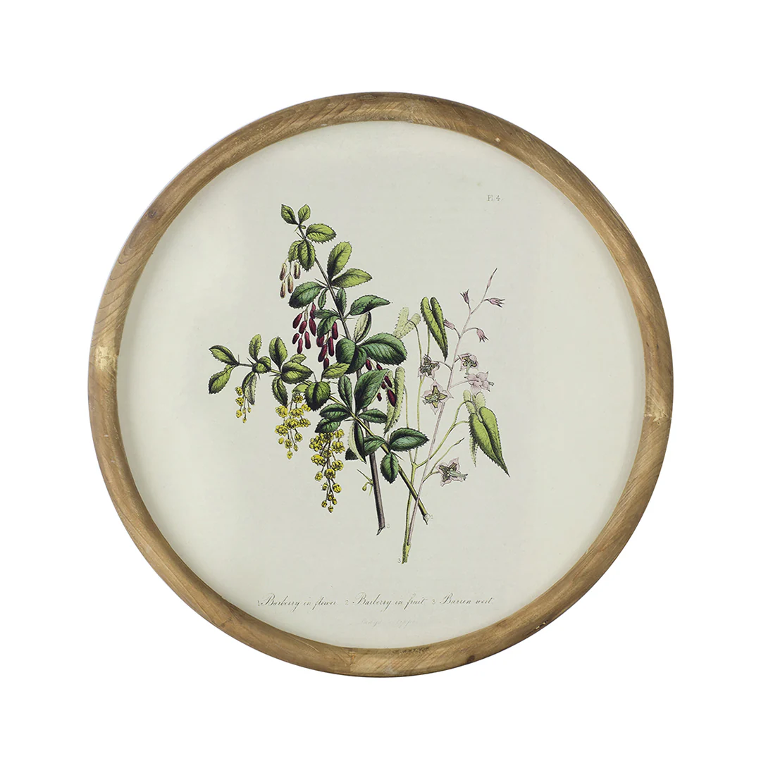Flora Round Prints (Set of 4) - Image 6