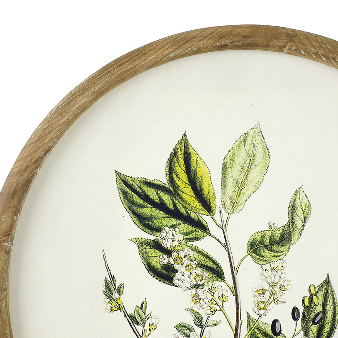 Flora Round Prints (Set of 4) - Image 8