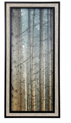 Forest Dreaming II