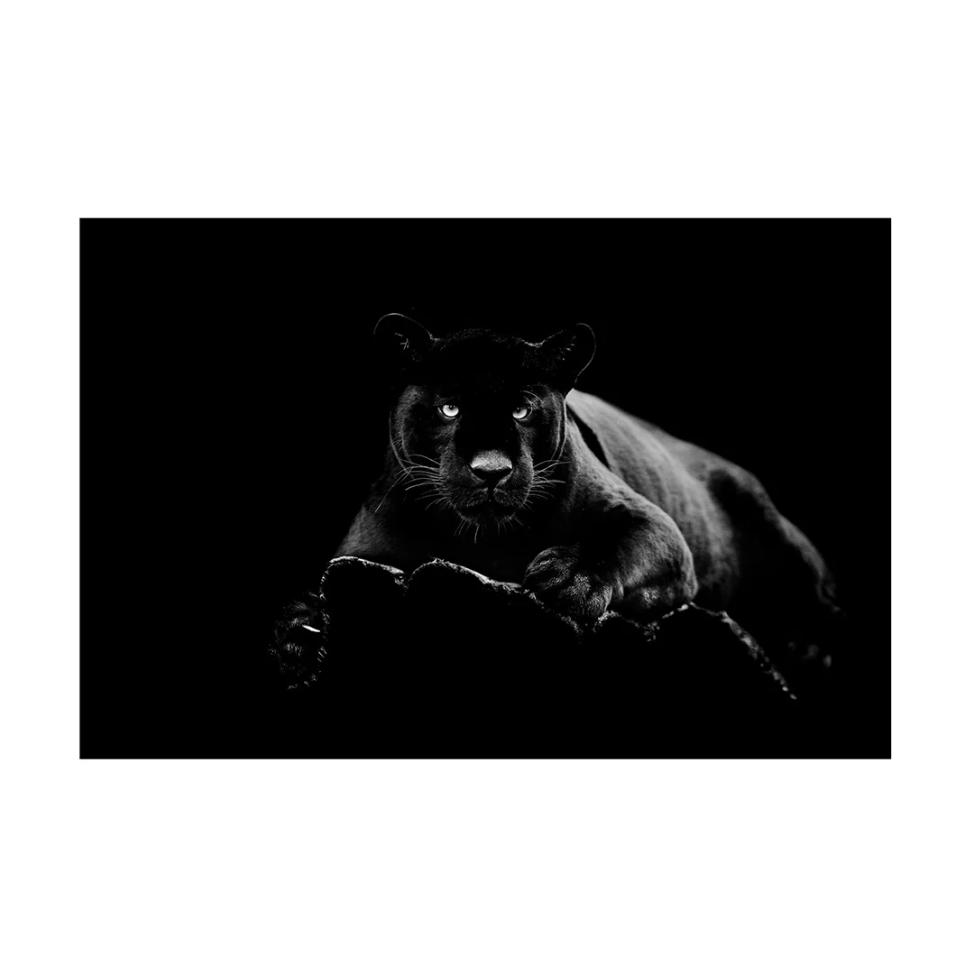 Glass Black Panther
