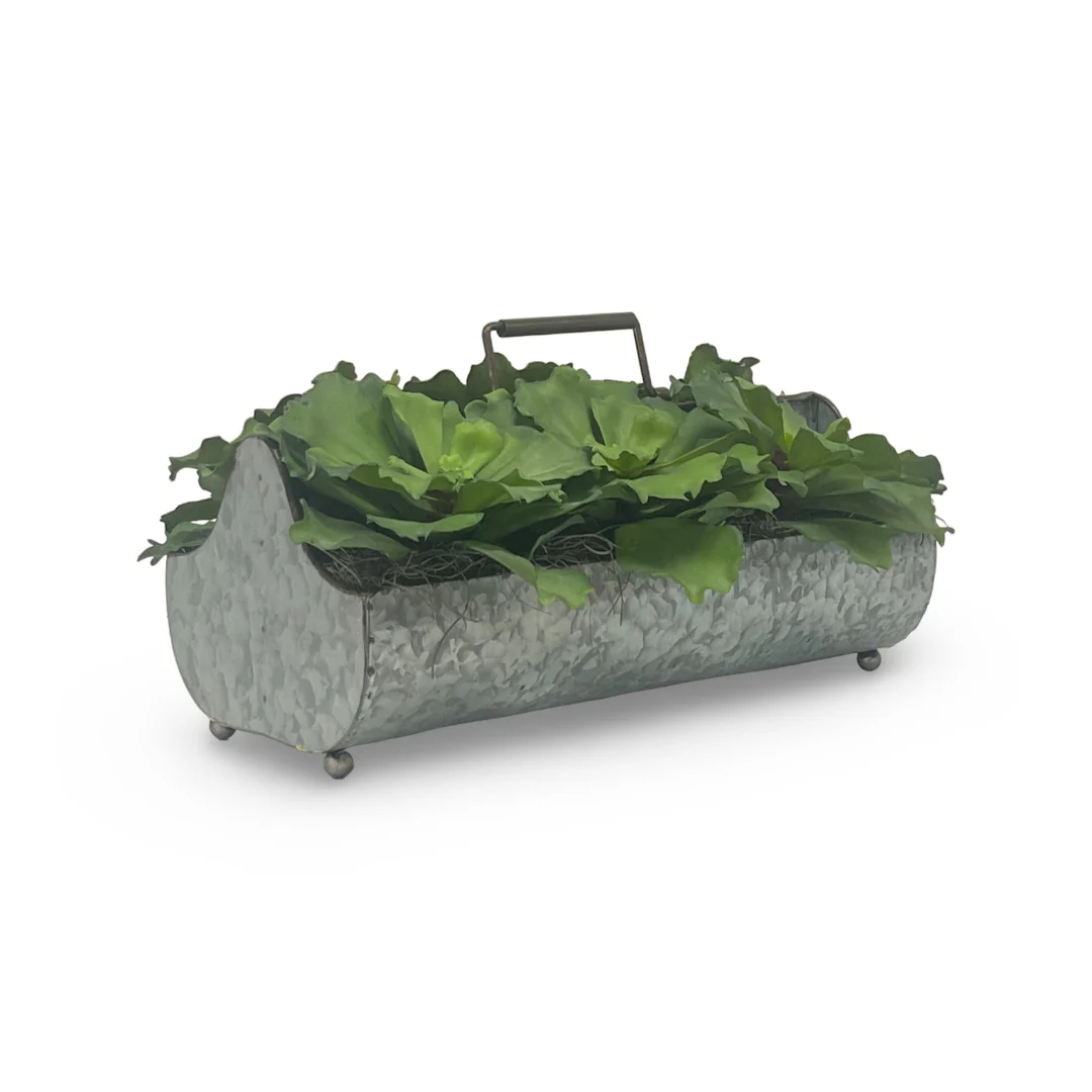 Green Succulents in Metal Planter - Image 2