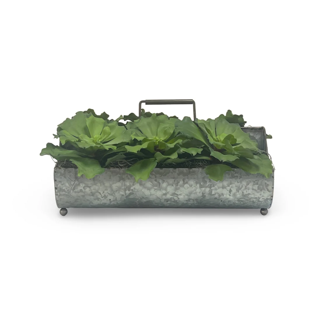 Green Succulents in Metal Planter - Image 4