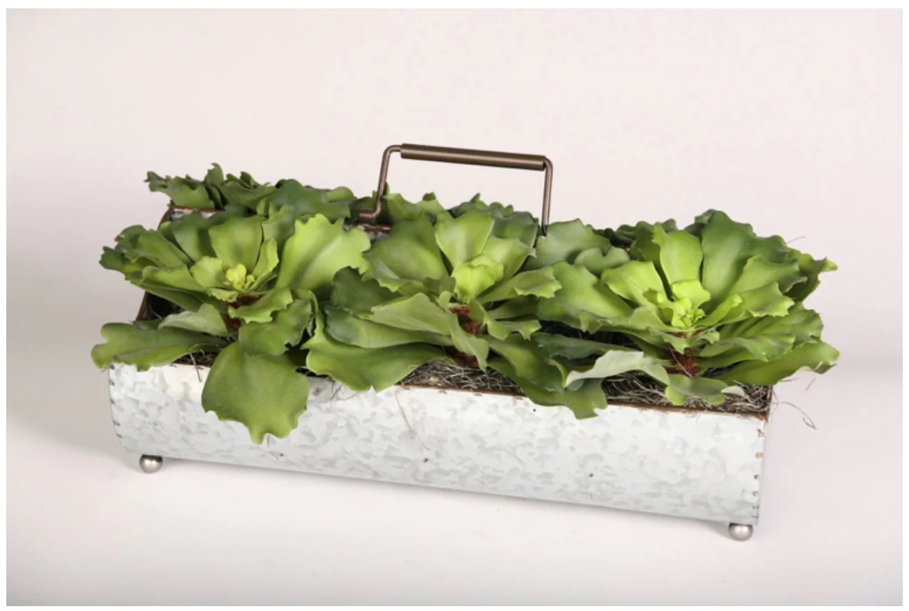 Green Succulents in Metal Planter - Image 7