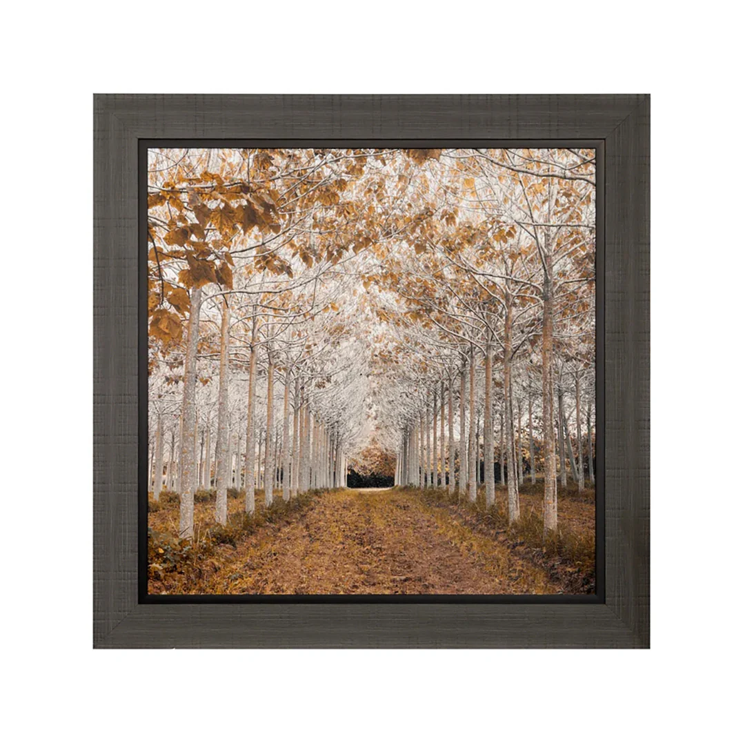 Hall of Trees