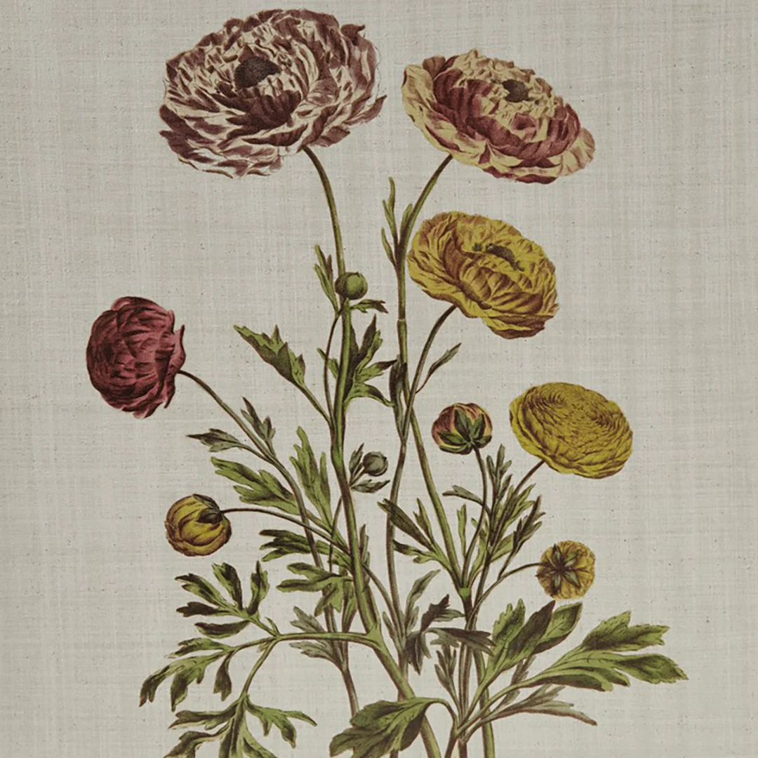 Herbal Botany (Set of 4) - Image 6