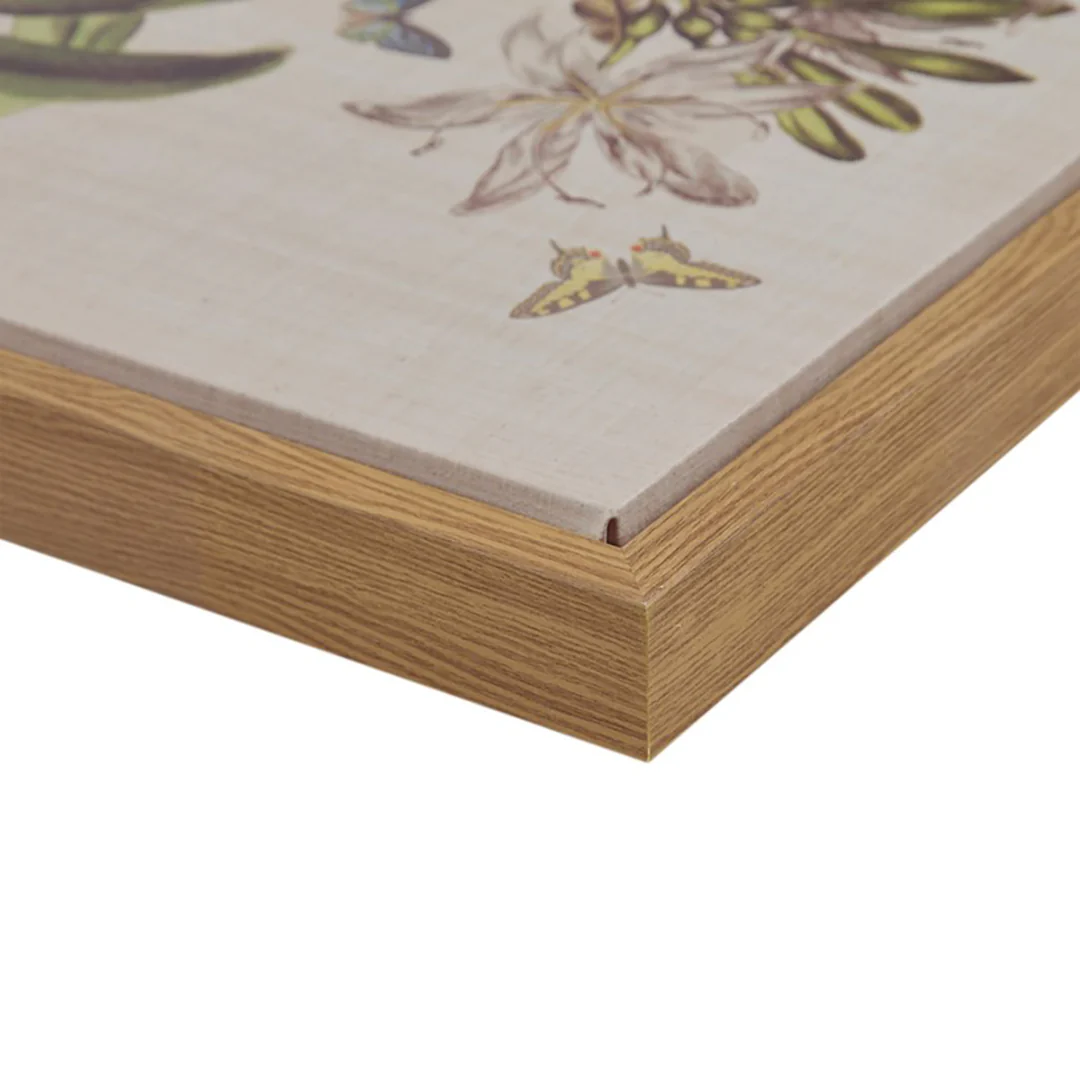 Herbal Botany (Set of 4) - Image 8