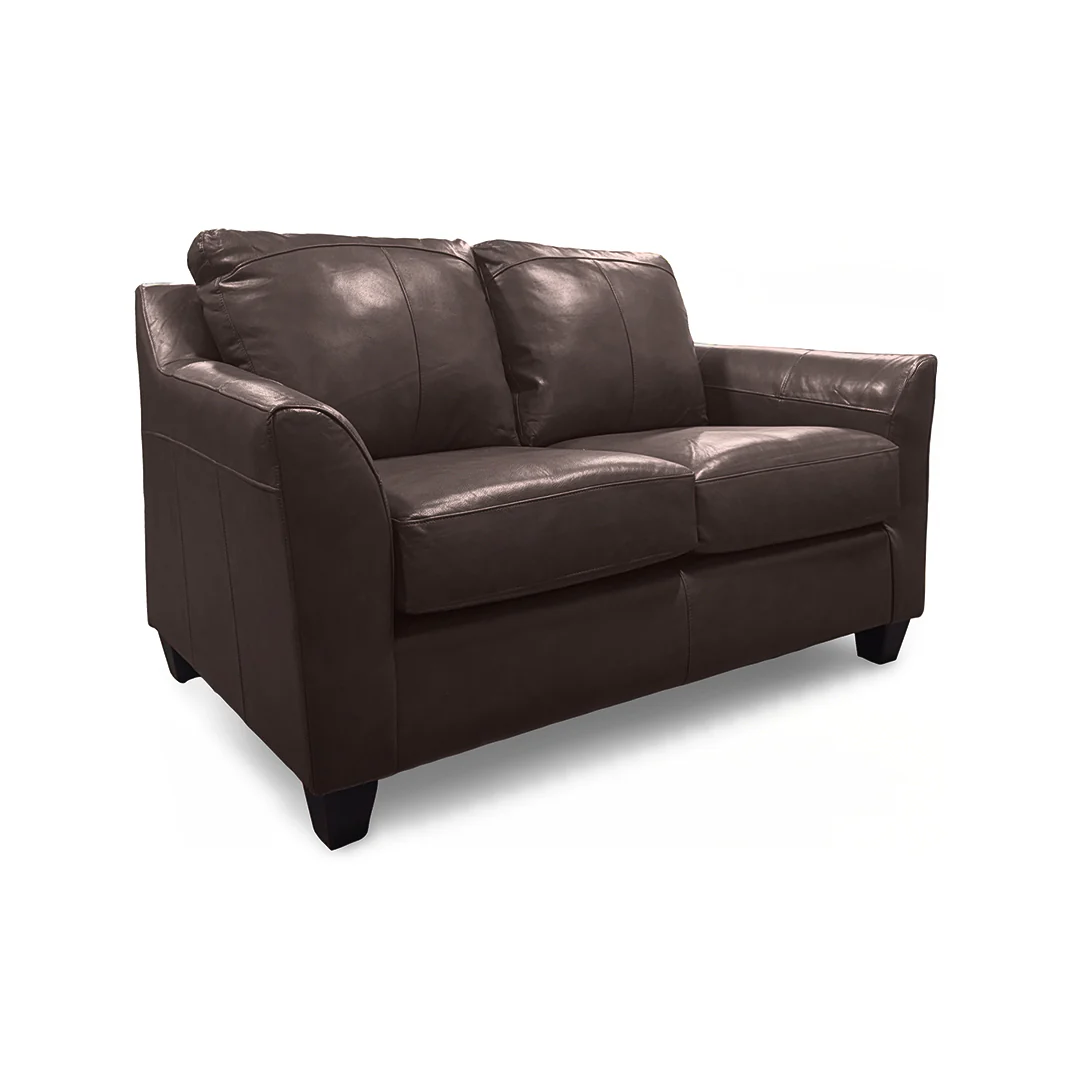 Josh Leather Loveseat - Image 8