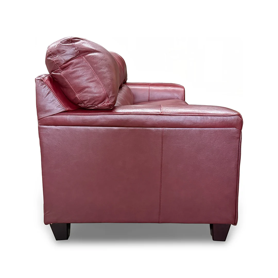Lacey Leather Sofa - Image 5