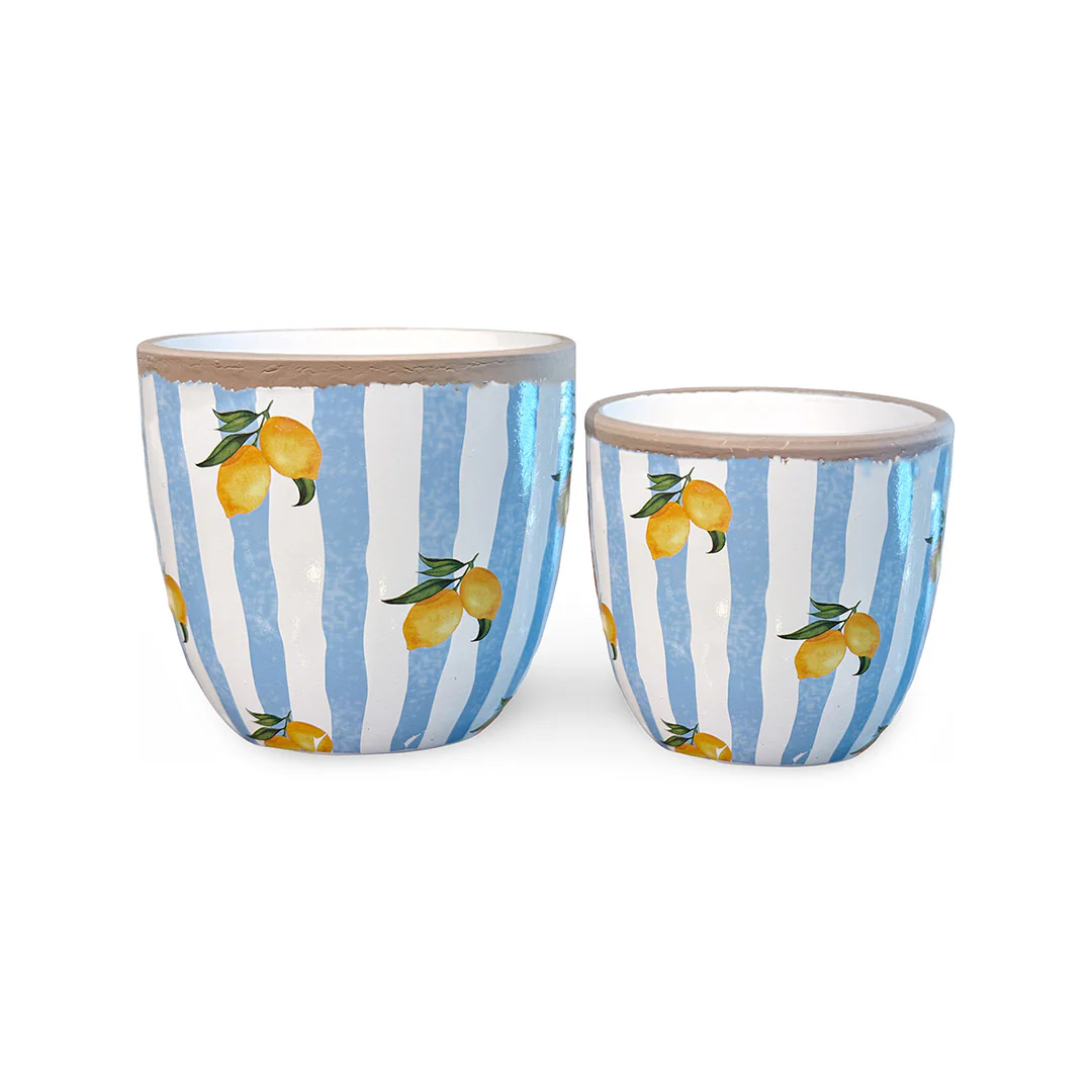 Lemon & Stripe Pots (Set of 2)