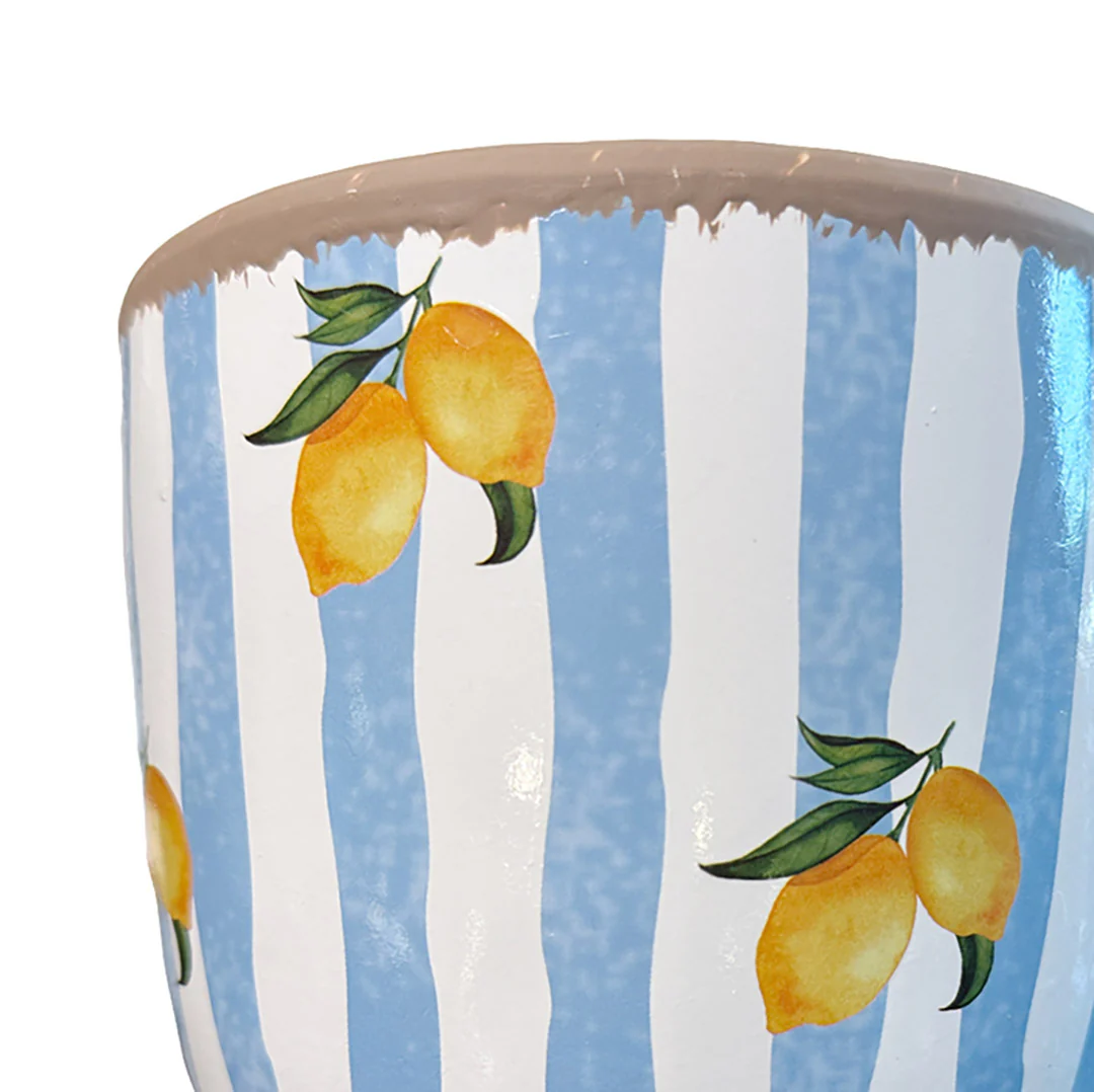 Lemon & Stripe Pots (Set of 2) - Image 2